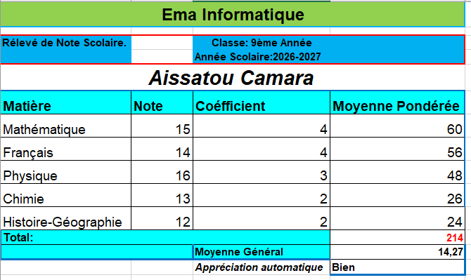 EMA INFORMATIQUE